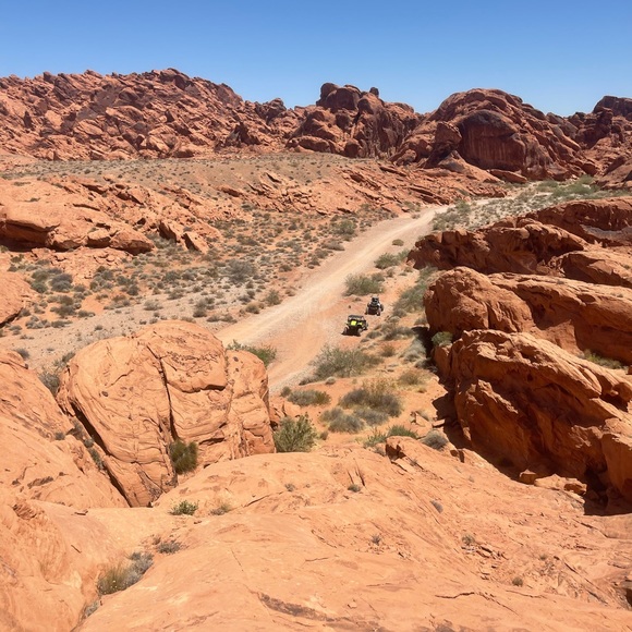 Meet your Posher, Peter - Picture 11 of 12